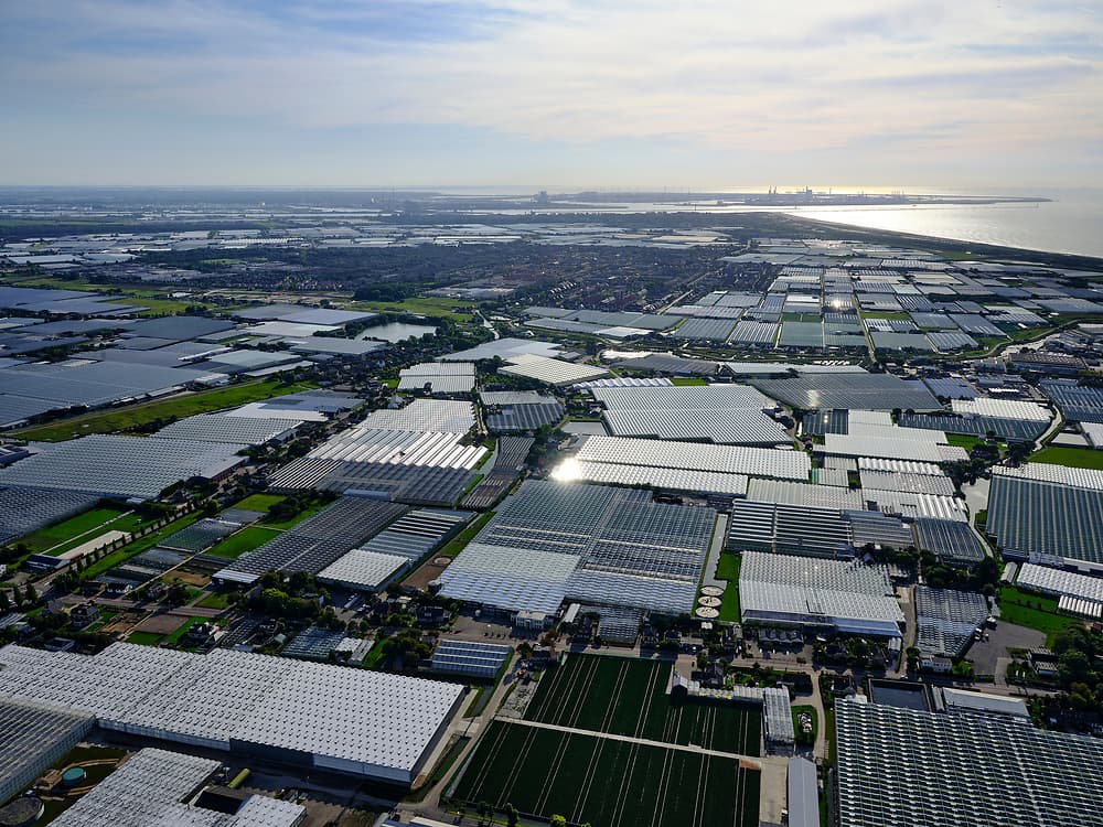 Snel transport vanuit Naaldwijk